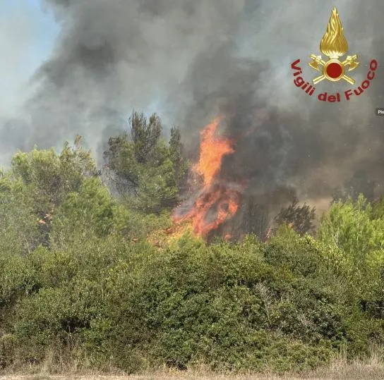 Incendi nel Salento, fiamme sulla SP 76 Presicce-Specchia e in zona ...