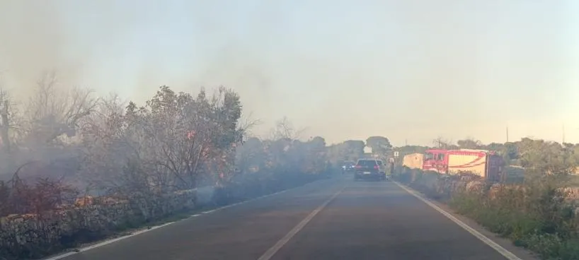 Incendi nel Salento, fiamme sulla SP 76 Presicce-Specchia e in zona ...