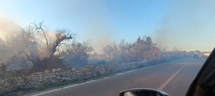 Incendi nel Salento, fiamme sulla SP 76 Presicce-Specchia e in zona ...