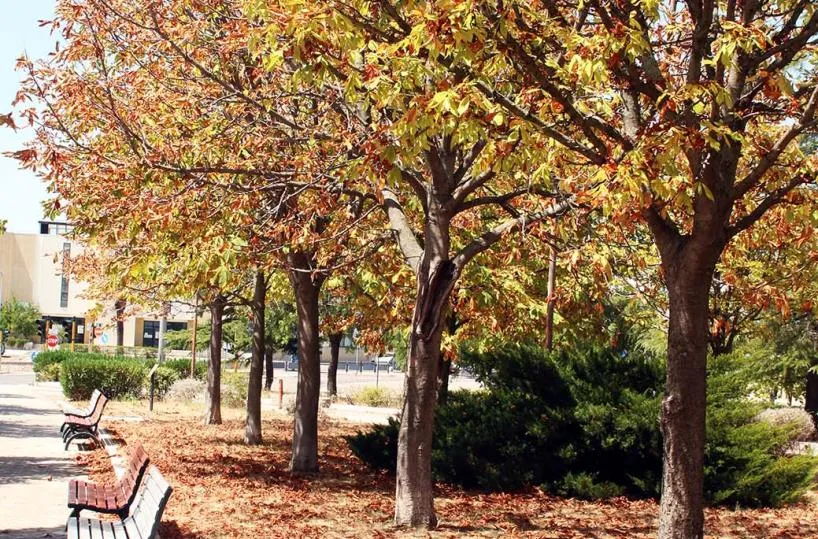 Ultime piogge al Centro-Sud, poi l’anticiclone porterà il sole con temperature in aumento