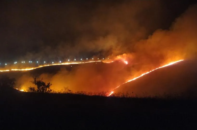 Incendi boschivi, la  Puglia seconda in Italia per ettari andati in fumo