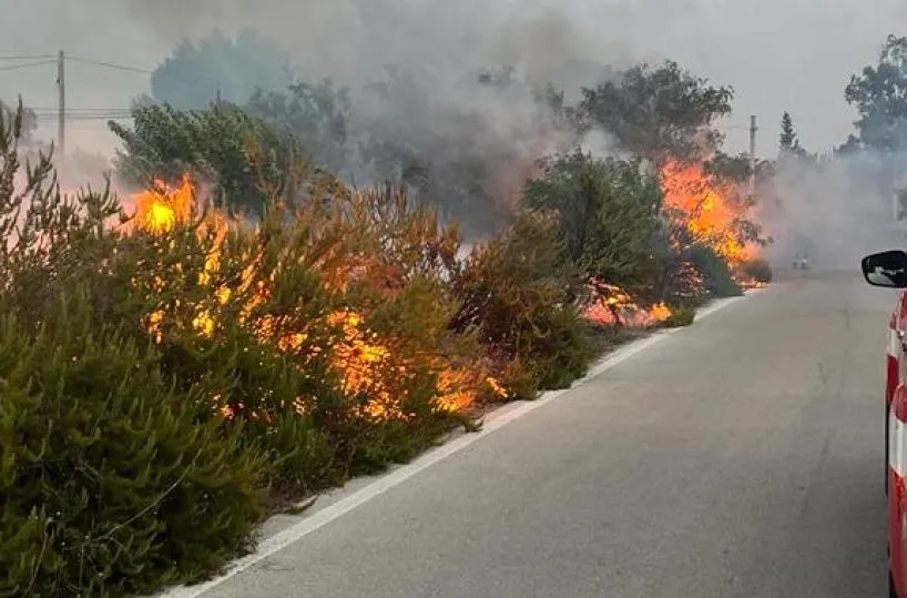 Rogo in zona boschiva del Foggiano, fiamme alimentate dal vento