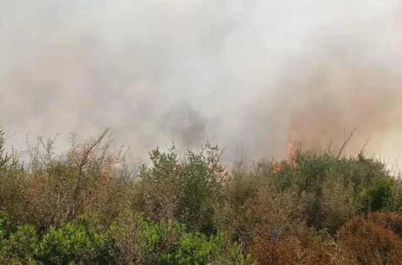 Ancora incendi, dieci ettari a fuoco nel Tarantino, nell'agro di ...